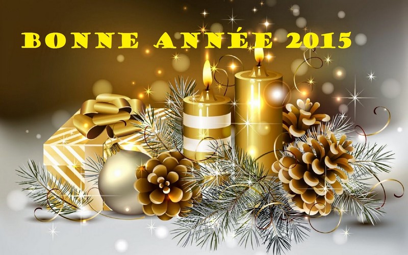 BonneAnn%C3%A9e2015.jpg