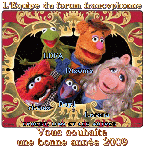 Bonne_annee_2009.png