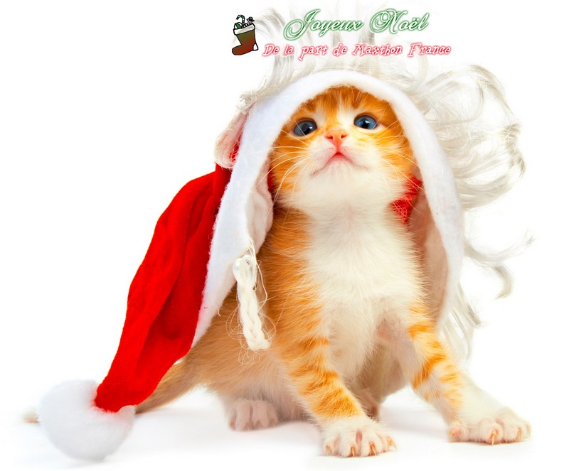 Noel2013-3.jpg