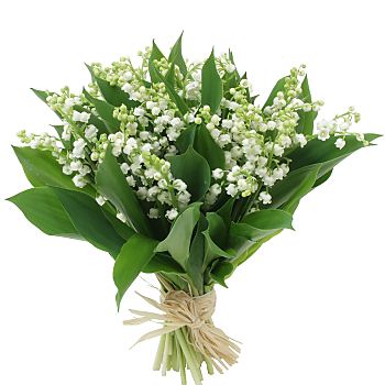 Muguet.jpg