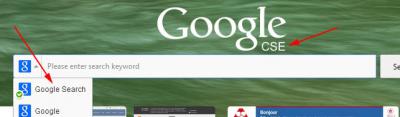 google cse.jpg