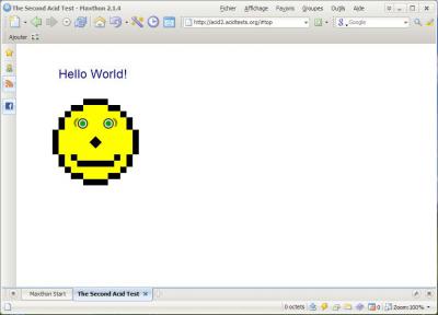 AcidTest2Maxthon.JPG