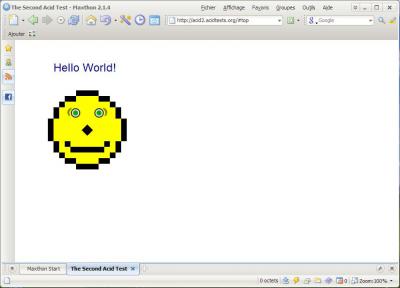 AcidTest2Maxthon.JPG