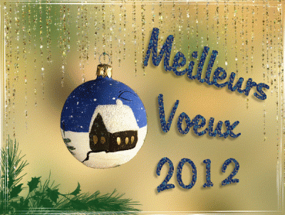 meilleurs-voeux-2012_-boule-bleu.gif