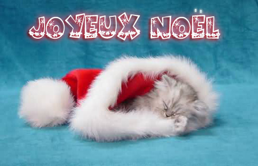 JoyeuxNoel.jpg