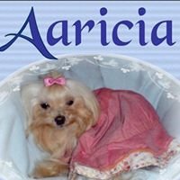 Aaricia