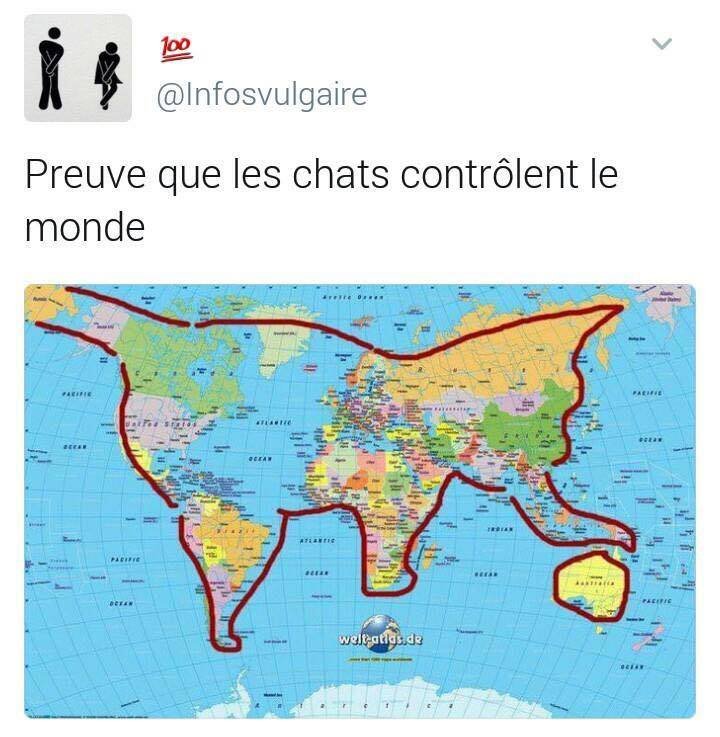 ChatMonde.jpg